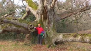 5726232821_e6c5a2762e