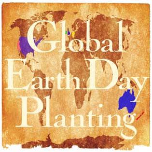 Global Earth Day Planting