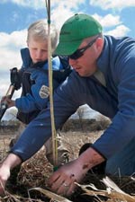 Help Plant A Tree