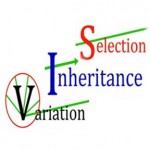 variation