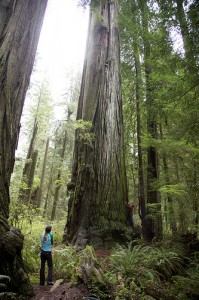 5726789550_ba1a3df89d