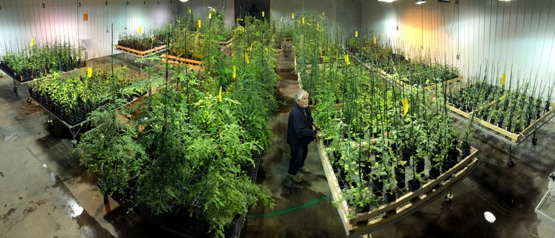 David Milarch with Champion Trees