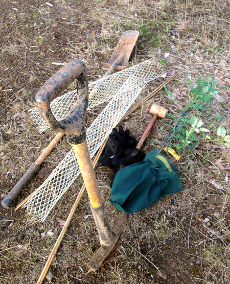 planting-still-life