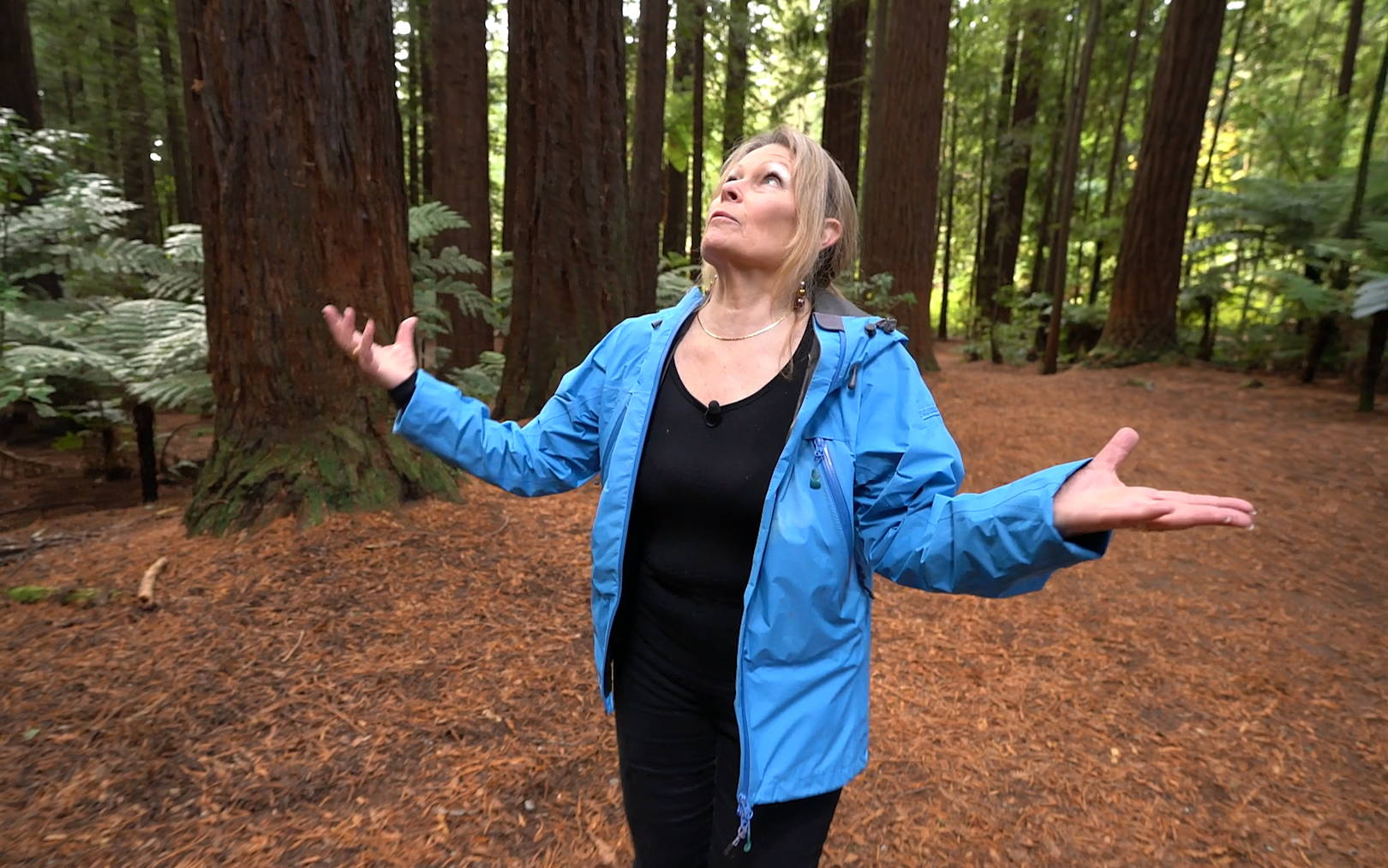 Dr. Jenny Aitken, Archangel Science Advisor, Tours a New Zealand Redwood Grove
