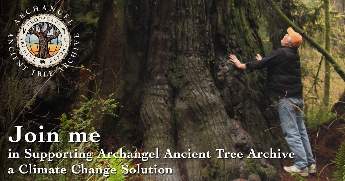 (c) Ancienttreearchive.org