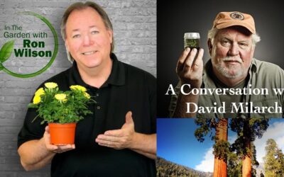 A Conversation with David Milarch on In the Garden