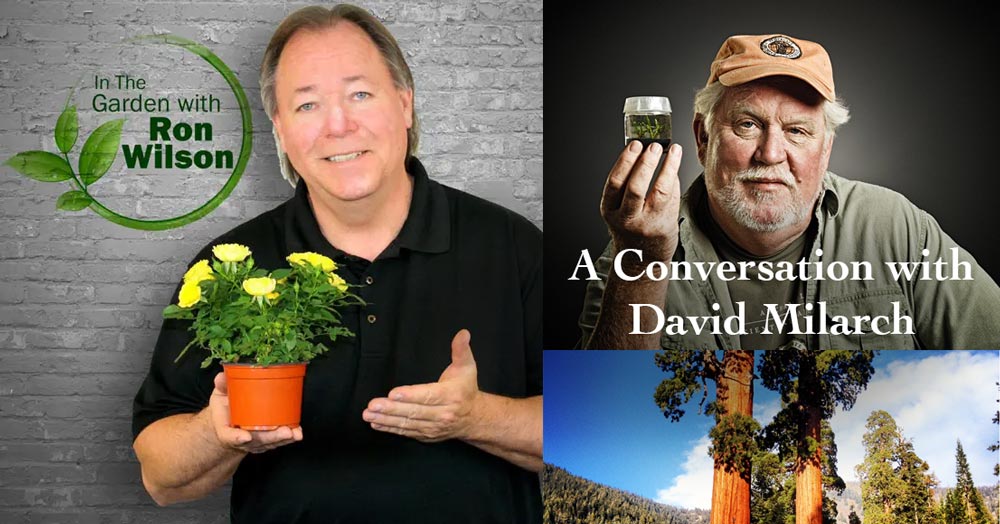 A Conversation with David Milarch on In the Garden with Ron Wilson